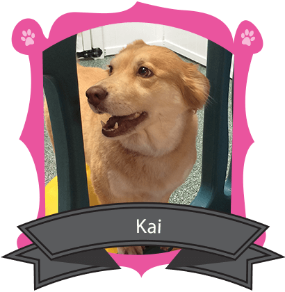 October Camper of the Month is Kai
