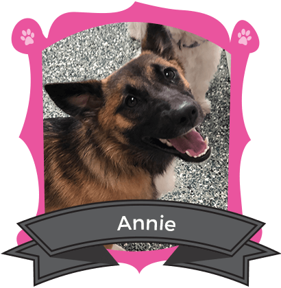 December Camper of the Month is Annie