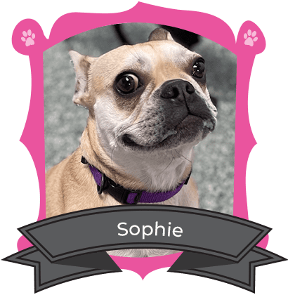 April Camper of The Month is Sophie