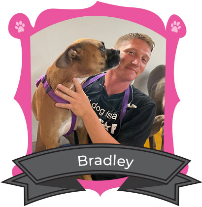 The Paws Team Bradley