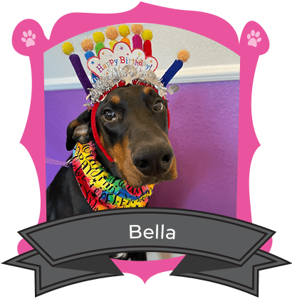 August Camper of The Month is Bella